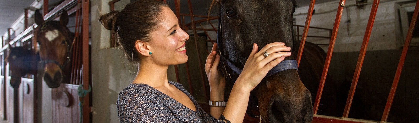 7 Vezér Történelmi Kalandpark és Garabonciás Farm